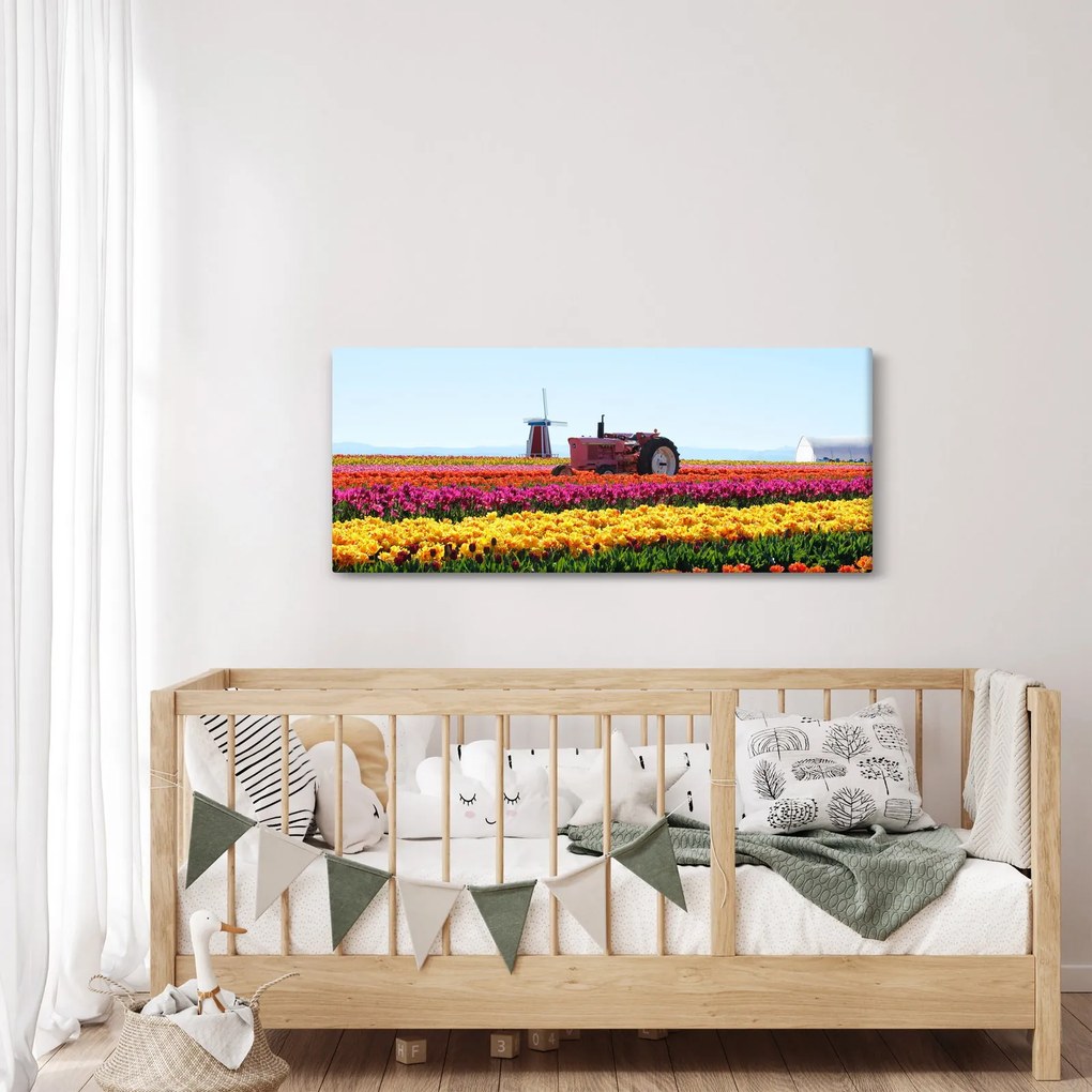 Tablou cu farma de lalele (120x50 cm)