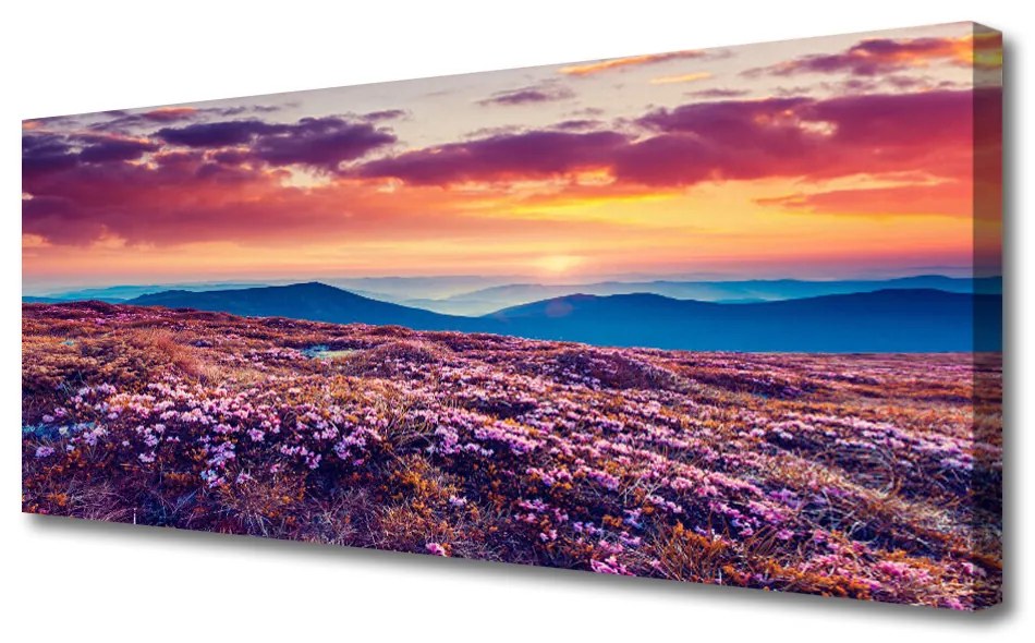 Tablou pe panza canvas Pajiște de munte Flori Natura Violet Albastru Portocaliu