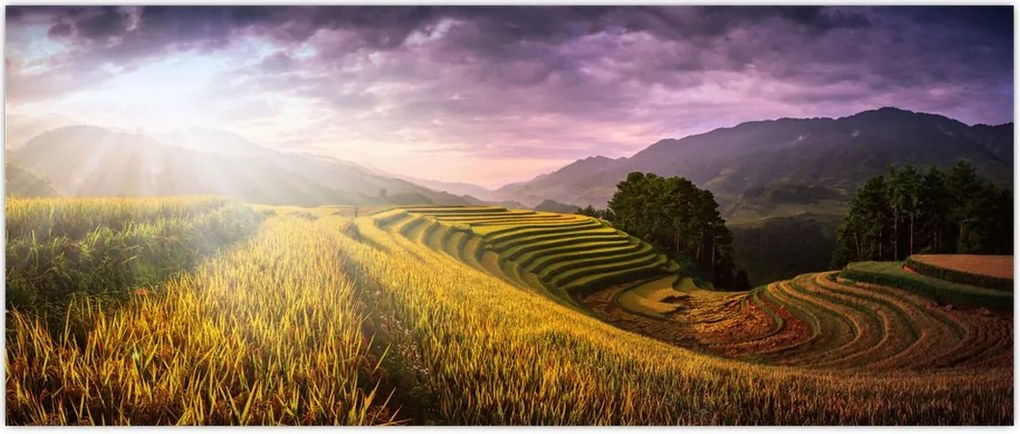 Tablou peisajului (120x50 cm)