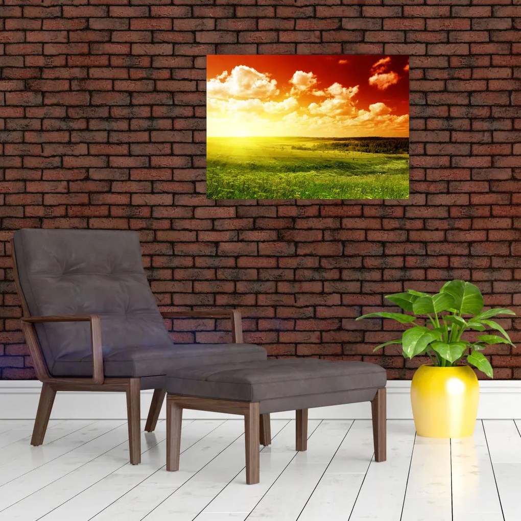Tablou cu luncă cu soarele strălucitor (70x50 cm)