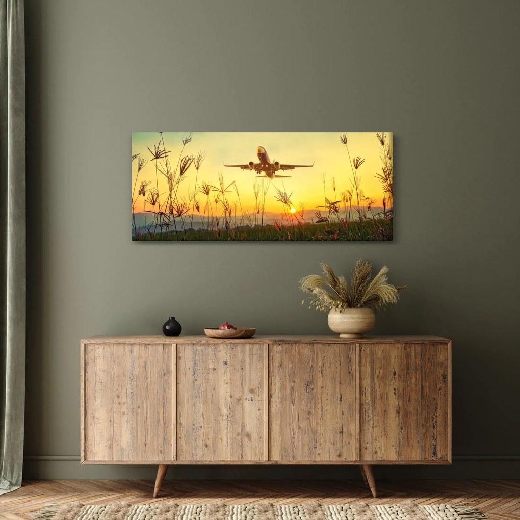 Tablou cu avion zburând (120x50 cm)