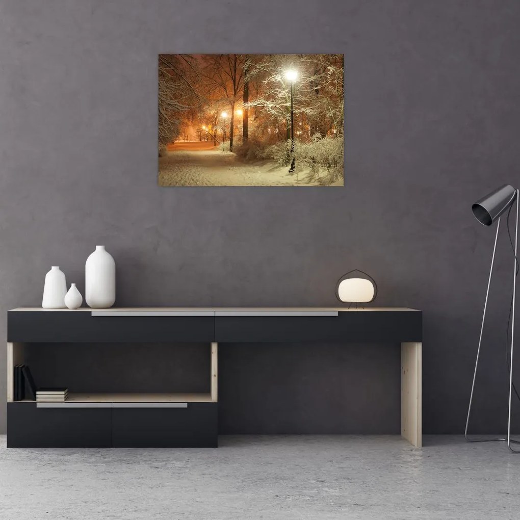 Tablou pe sticlă - Parcul înzăpezit (70x50 cm)