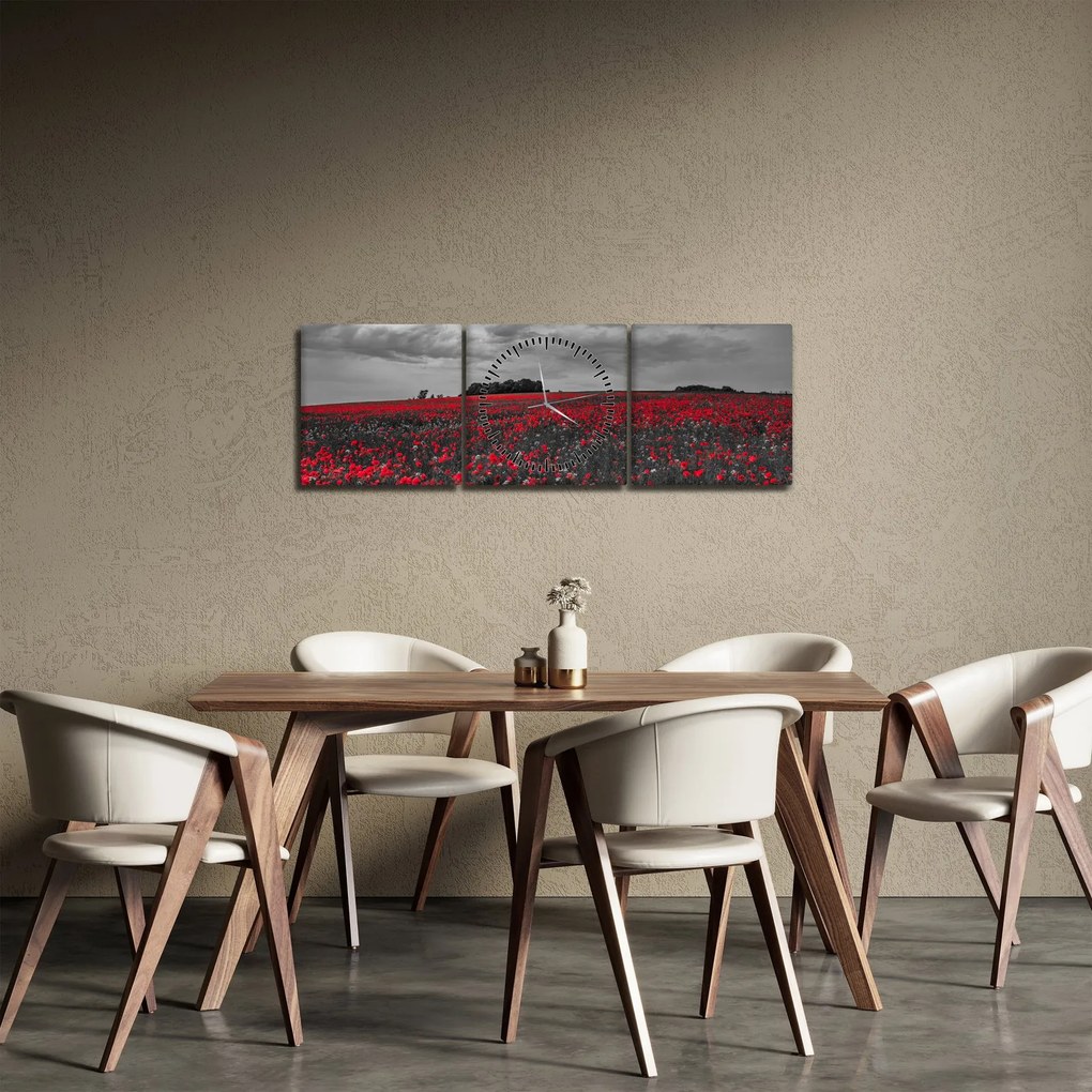 Tablou cu maci (cu ceas) (90x30 cm)