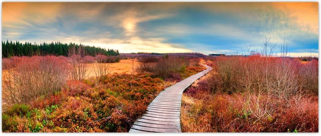 Tablou - Peisaj de toamnă - drum (120x50 cm)
