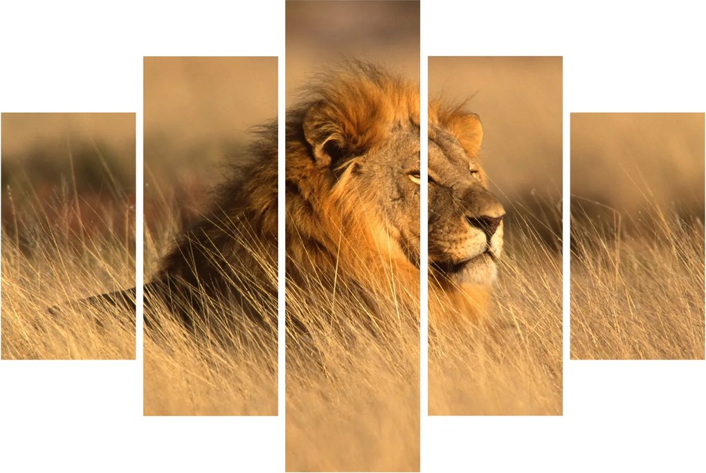 Tablou - Parcul Național Etosha (150x105 cm)