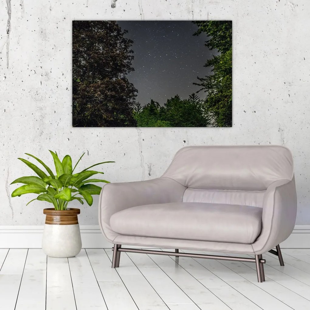 Tablou cu cerul nocturn (90x60 cm)