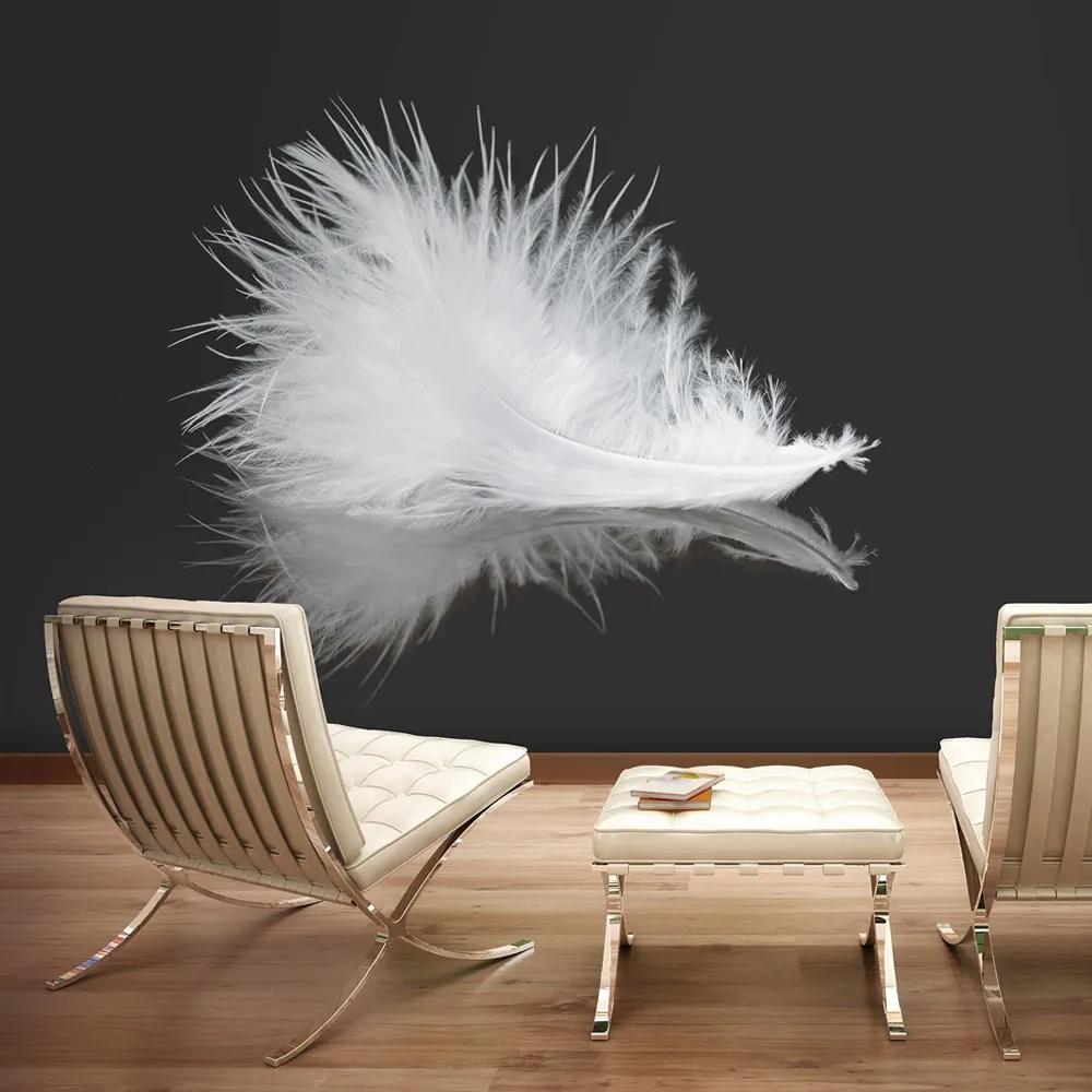 Fototapet Bimago - White feather + Adeziv gratuit 200x154 cm