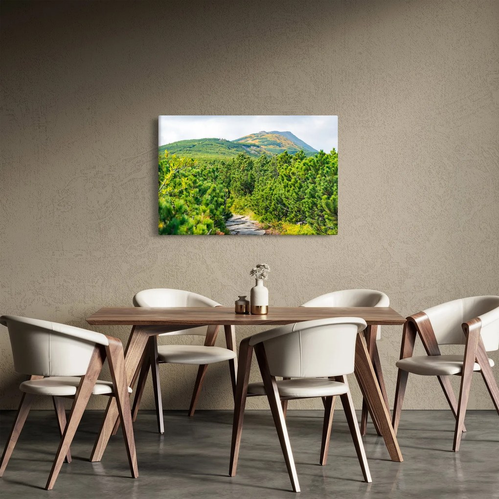 Tablou - Babi Hora, Polonia (90x60 cm)