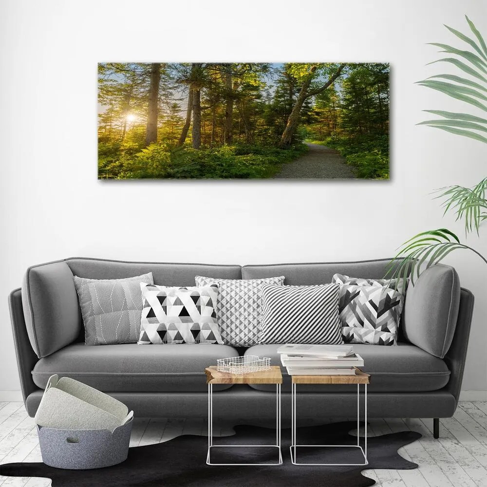 Imprimare tablou canvas Pădure