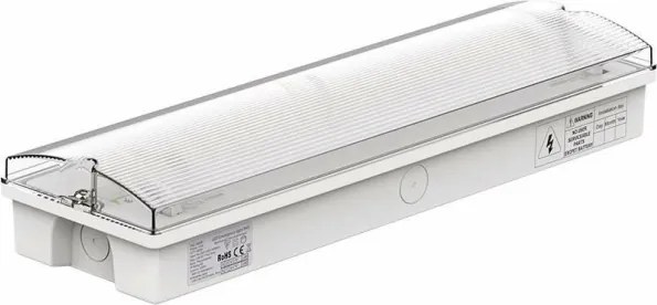 Corp de iluminat LED de urgență EMERGENCY EXIT LED/3W/230V 6400K IP65