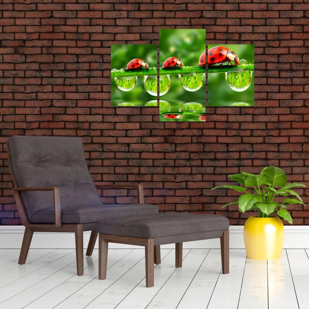 Tablou - Soarele celor șapte sori (90x60 cm)