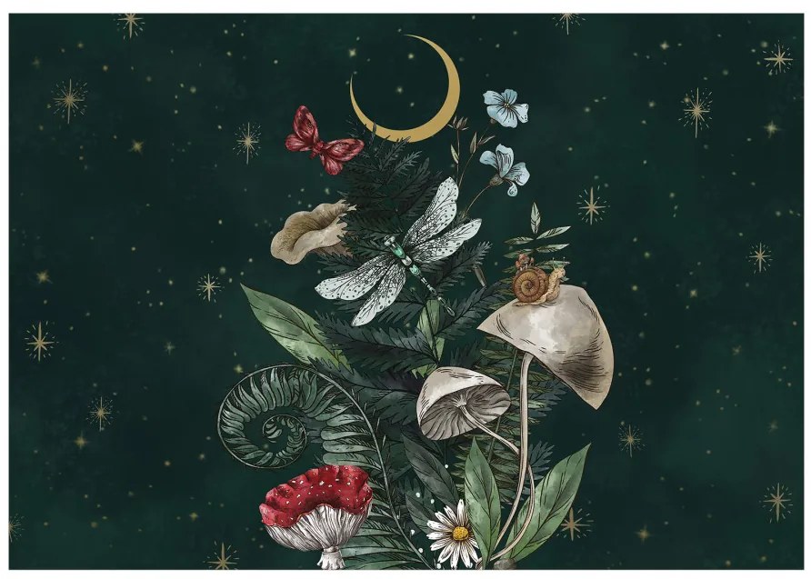 Fototapet - Natura pădurii - lună, ciuperci, plante și animale pe fundalul stelelor