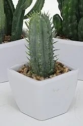 ​​Cactus artificial 14 cm