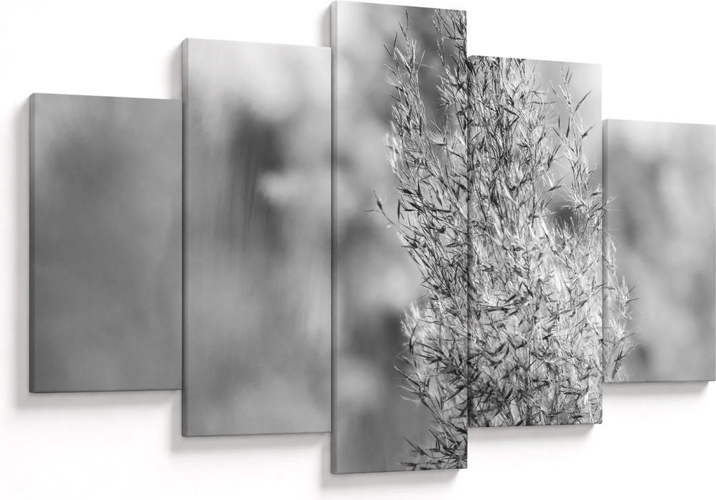 Tablou - Iarbă de pampas Boho (150x105 cm)