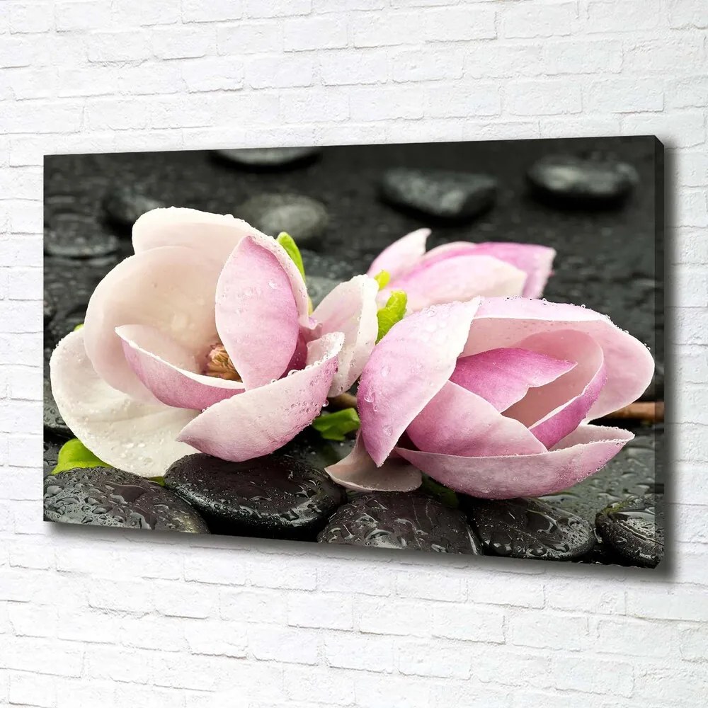 Print pe pânză Magnolia zen piatra