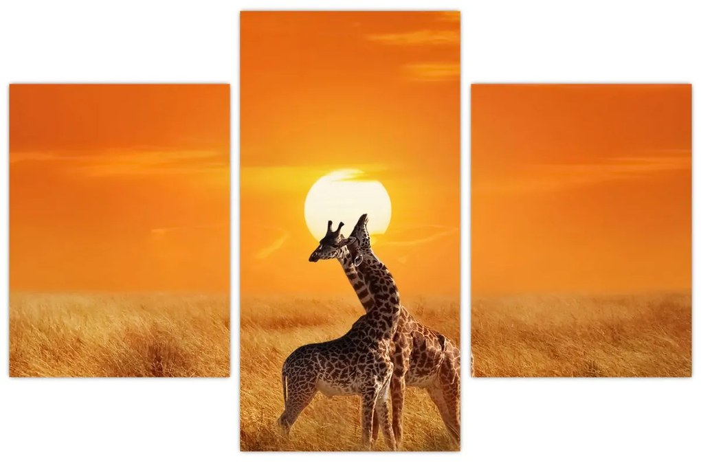 Tablou - Girafe în Parcul Național Serengeti (90x60 cm)