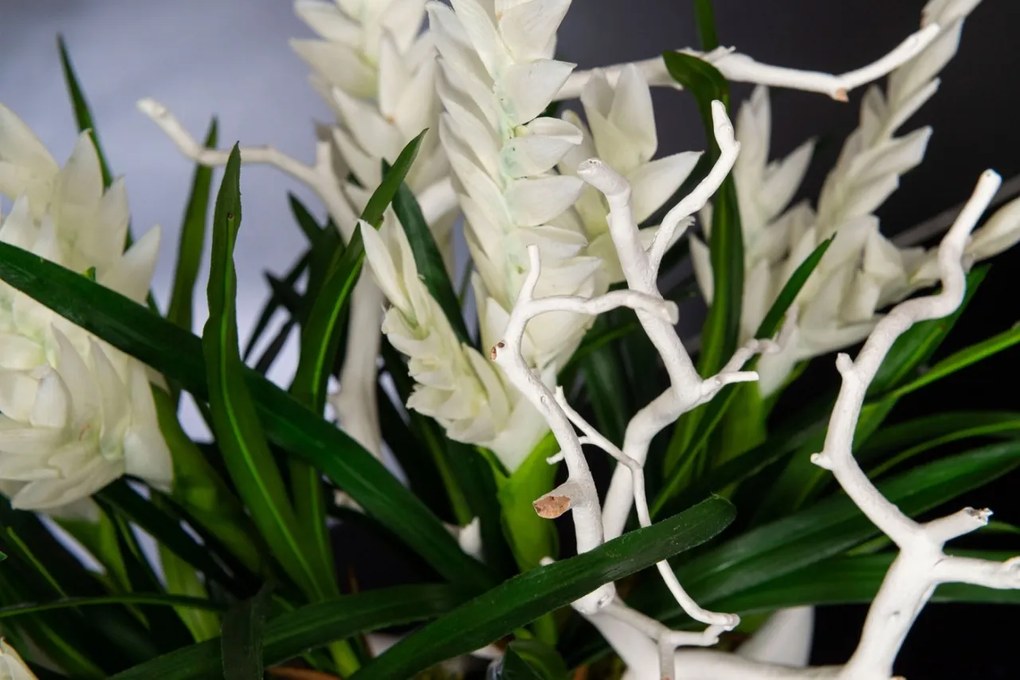 Aranjament floral mediu design LUX SHIP BROMELIA