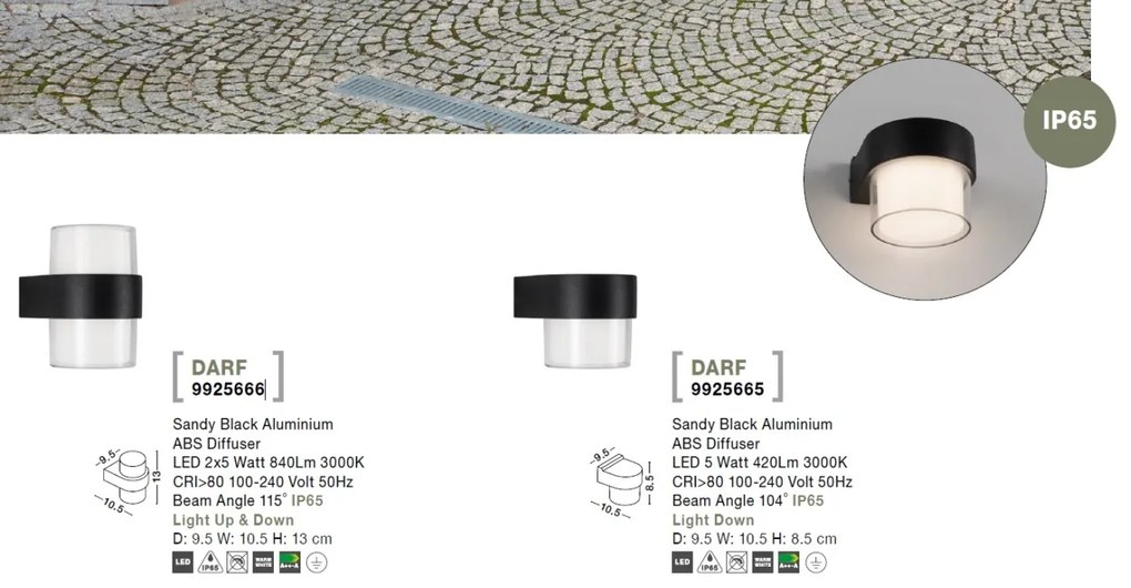 Aplica LED moderna de exterior cu iluminat ambiental IP65 DARF I