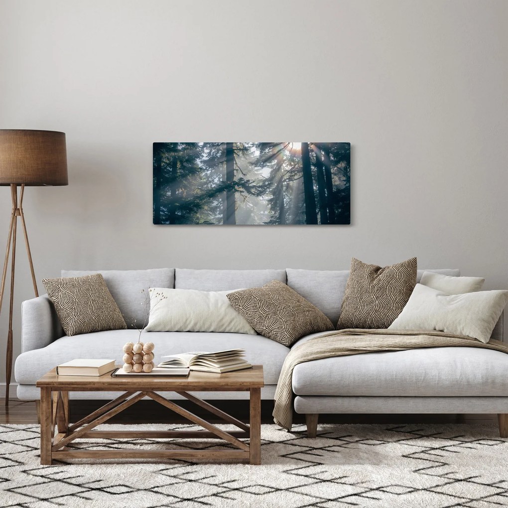 Tablou cu copaci și soarele translucind (120x50 cm)