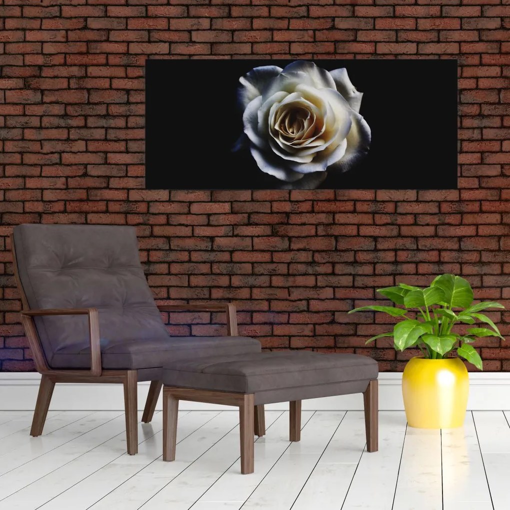 Tablou cu trandafir alb (120x50 cm)