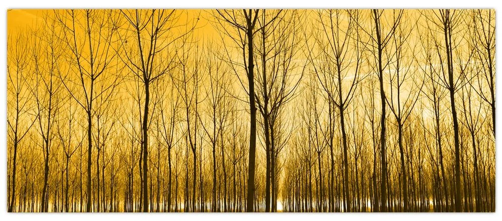 Tablou cu pădure în apus de soare (120x50 cm)