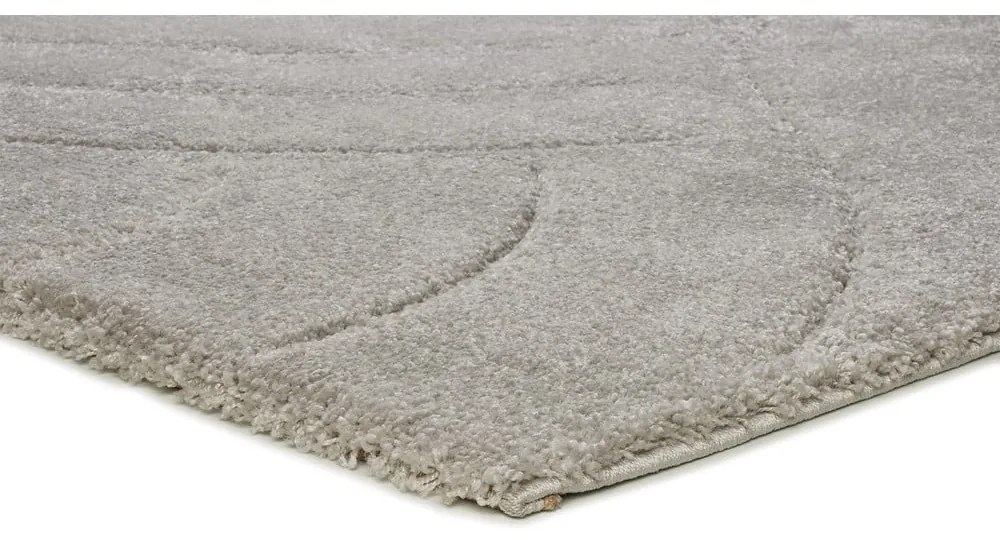 Covor gri deschis 160x230 cm Molier – Universal