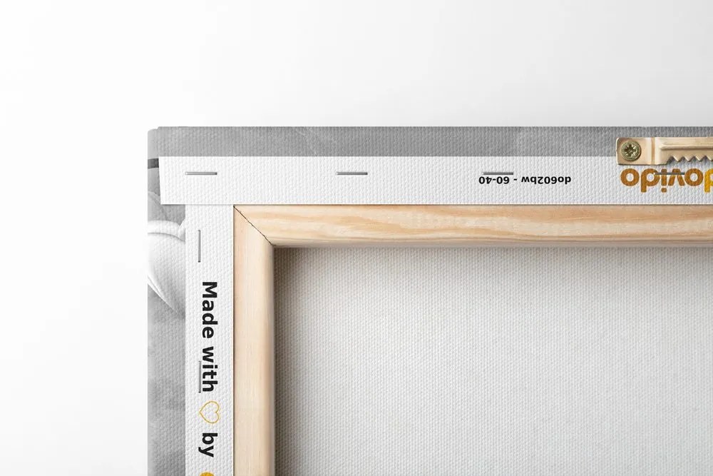 Tablou maci pe un fundal abstract în design alb-negru