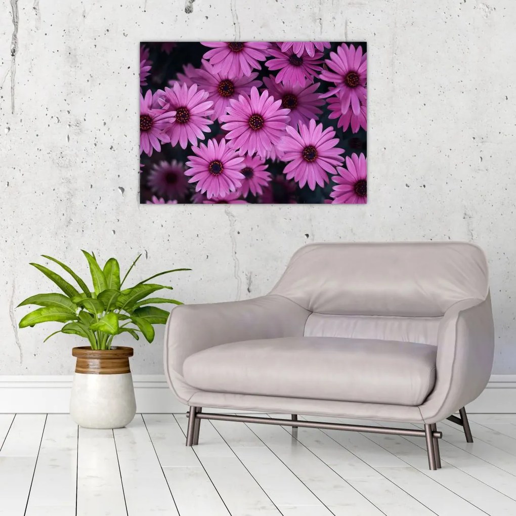 Tablou cu florile roz (70x50 cm)