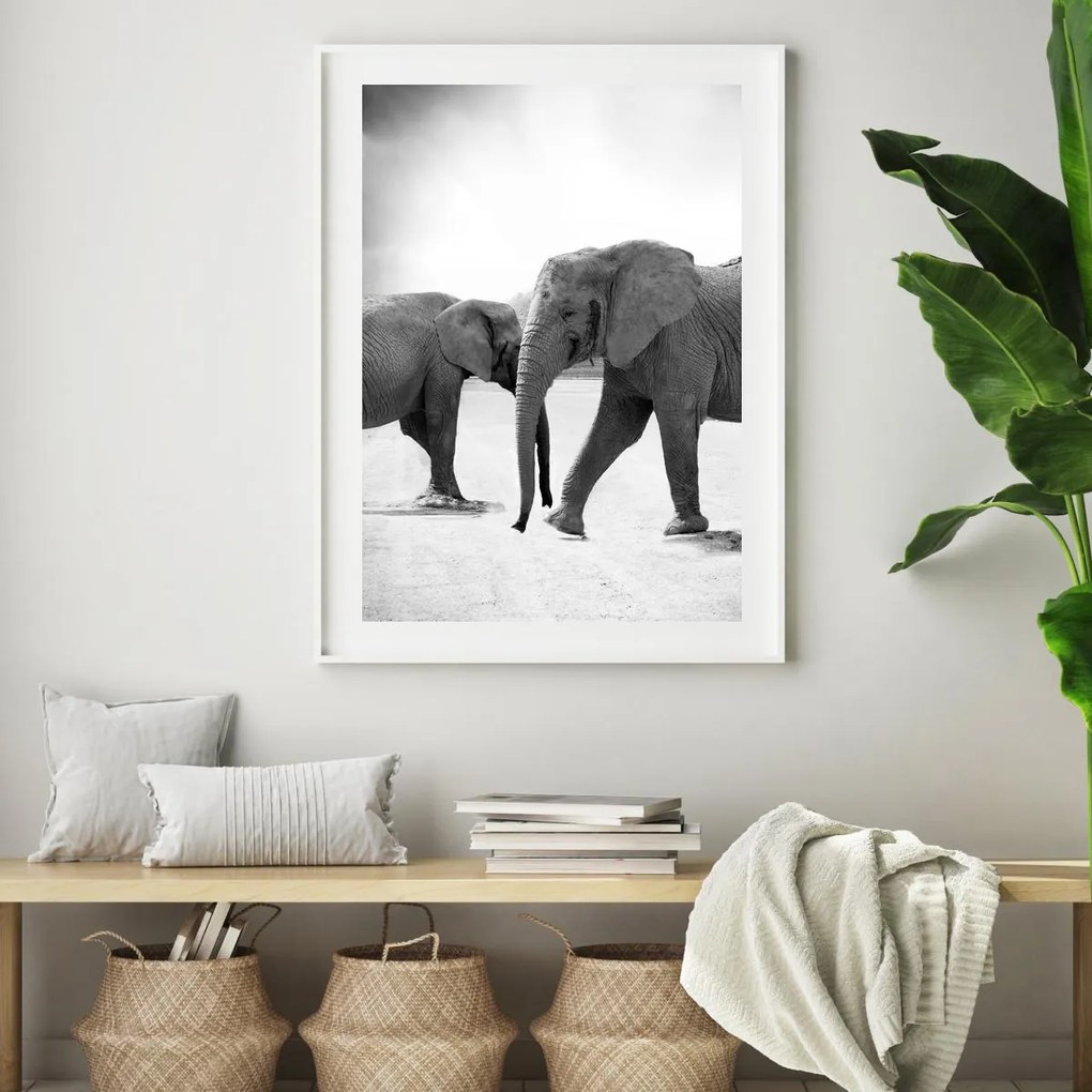 Poster - Elefanții venind inainte (A4)