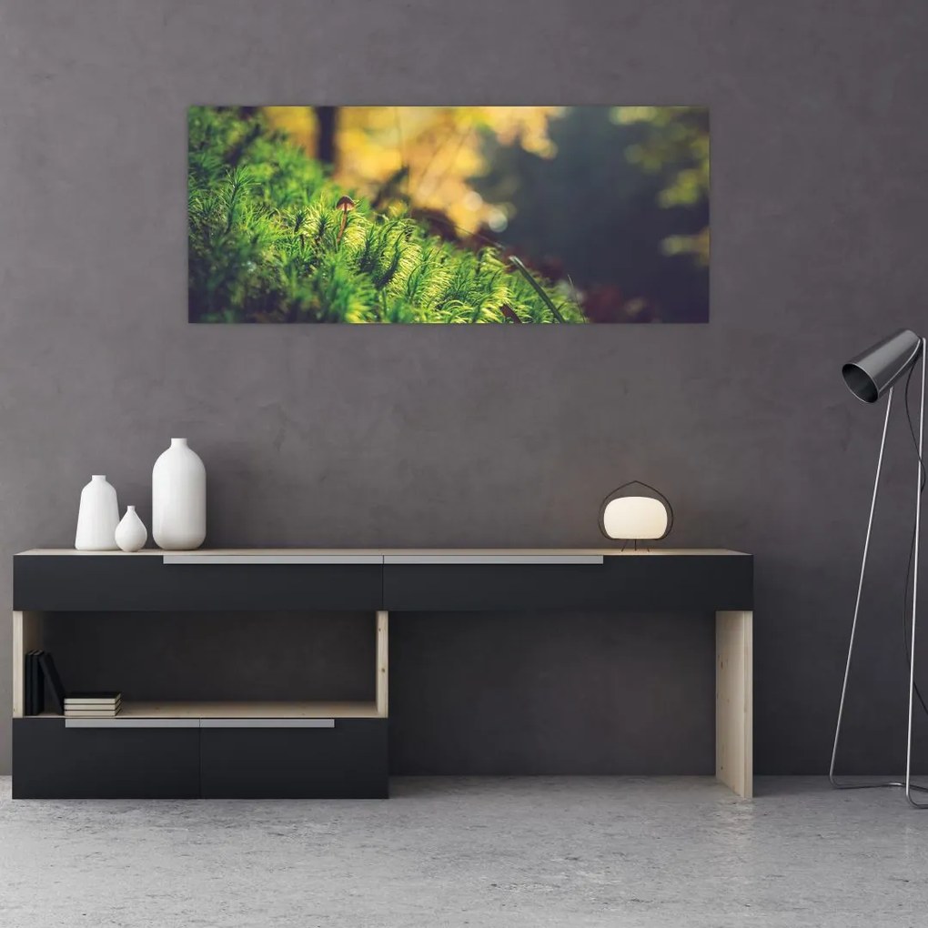 Tablou - Ciupercă și muschi (120x50 cm)