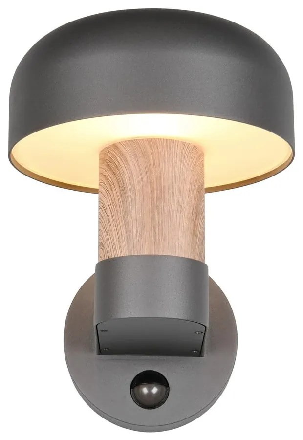 Corp de iluminat pentru exterior, de perete (înălțime 24,5 cm) Fraser – Trio