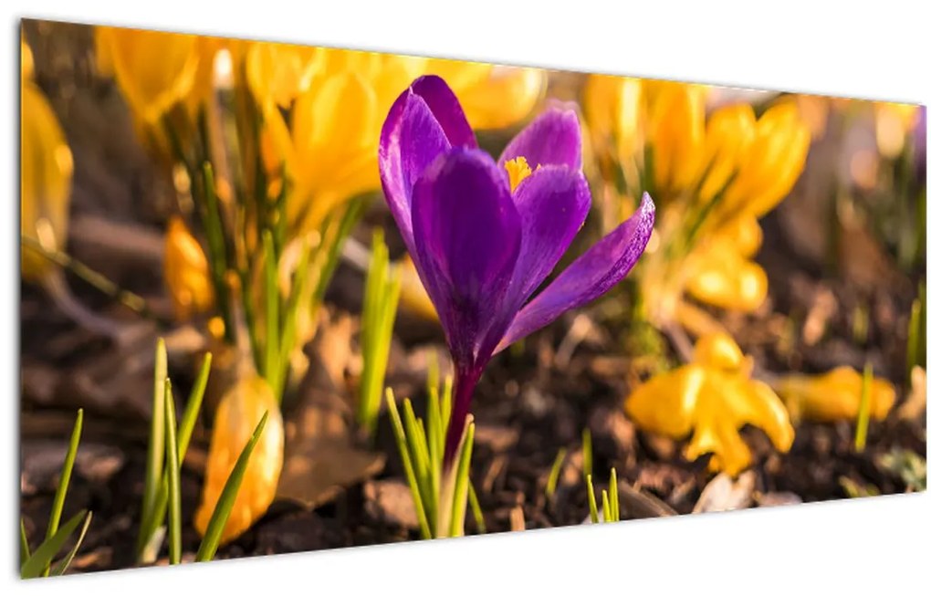 Tablou cu floare violetă (120x50 cm)