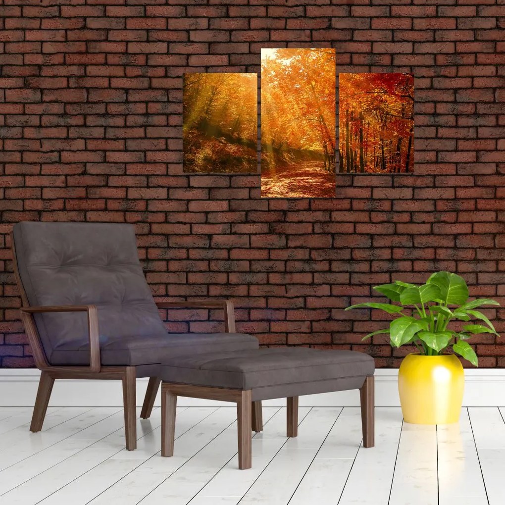 Tablou cu pădurea în toamnă (90x60 cm)