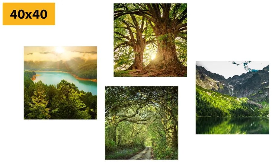 Set tablouri natura verde frumoasă
