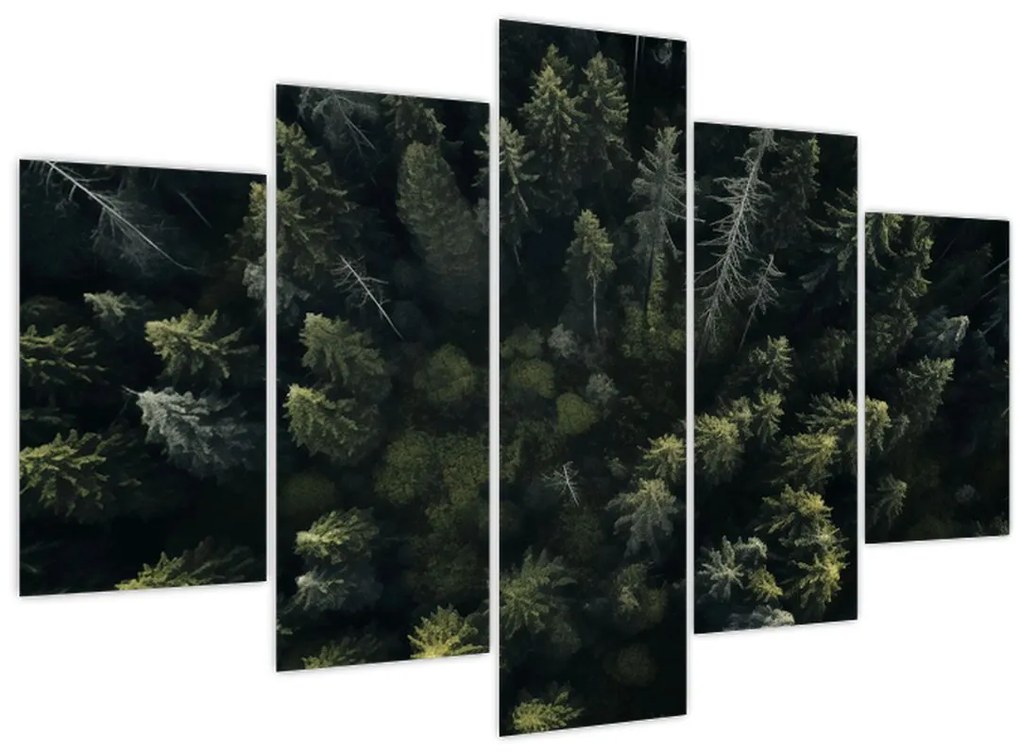 Tablou - Pădure (150x105 cm)