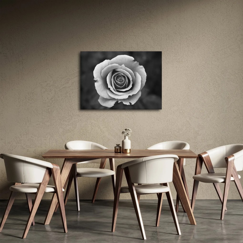 Tablou - Trandafir (70x50 cm)
