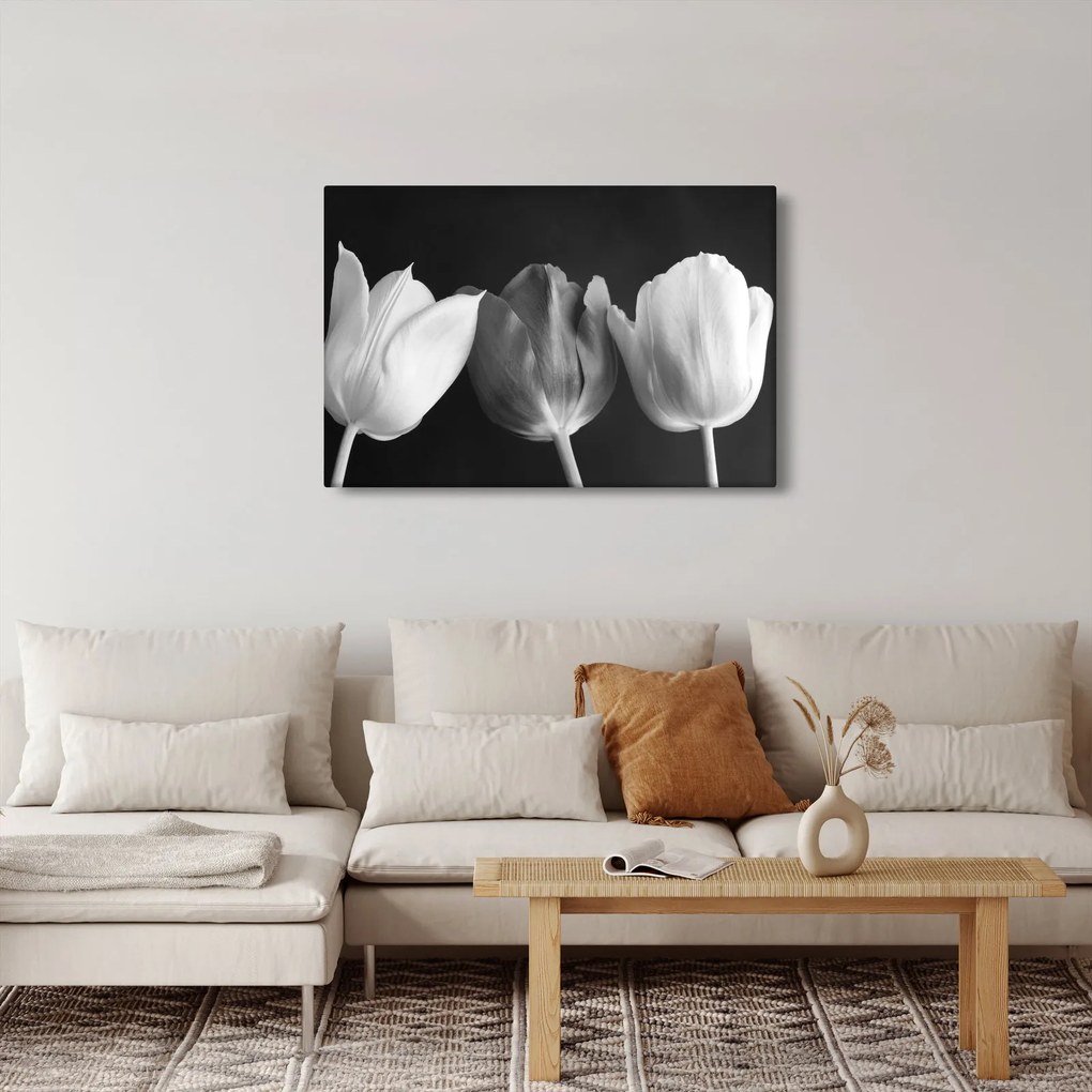 Tablou - Lalele alb negre (90x60 cm)