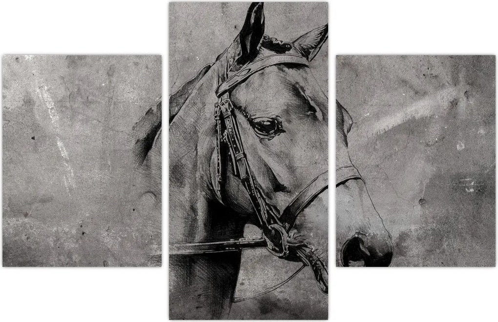 Tablou - Portret de cal (90x60 cm)