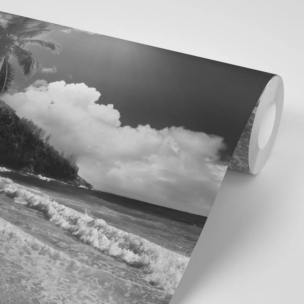 Fototapet plajă pe insula Seychelles în alb-negru