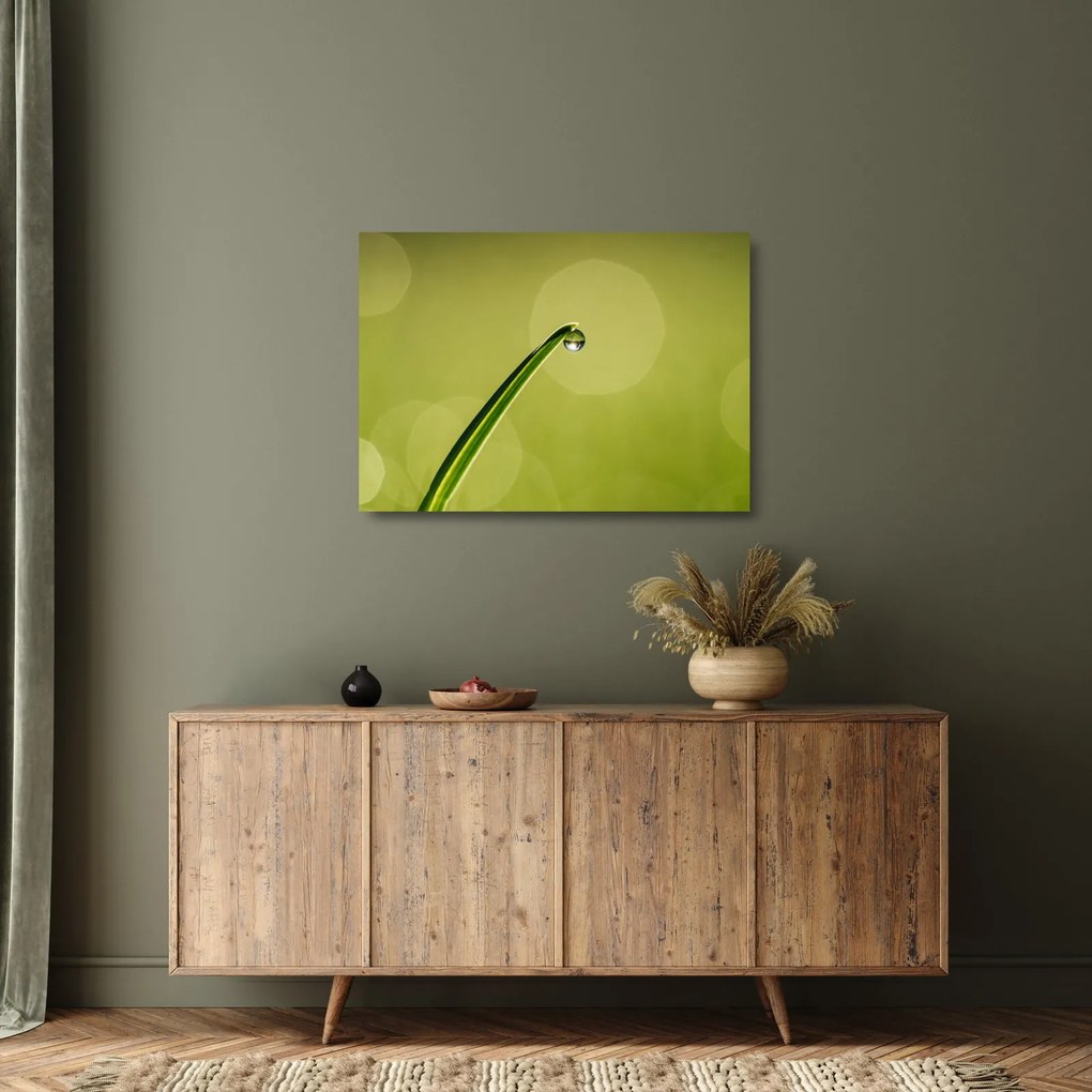 Tablou pe sticlă cu picătură de apă pe iarbă (70x50 cm)