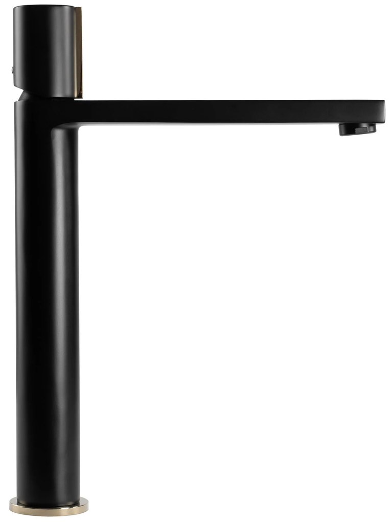 BATERIE CHIUVETA NEAGRA AURIE ÎNALTA