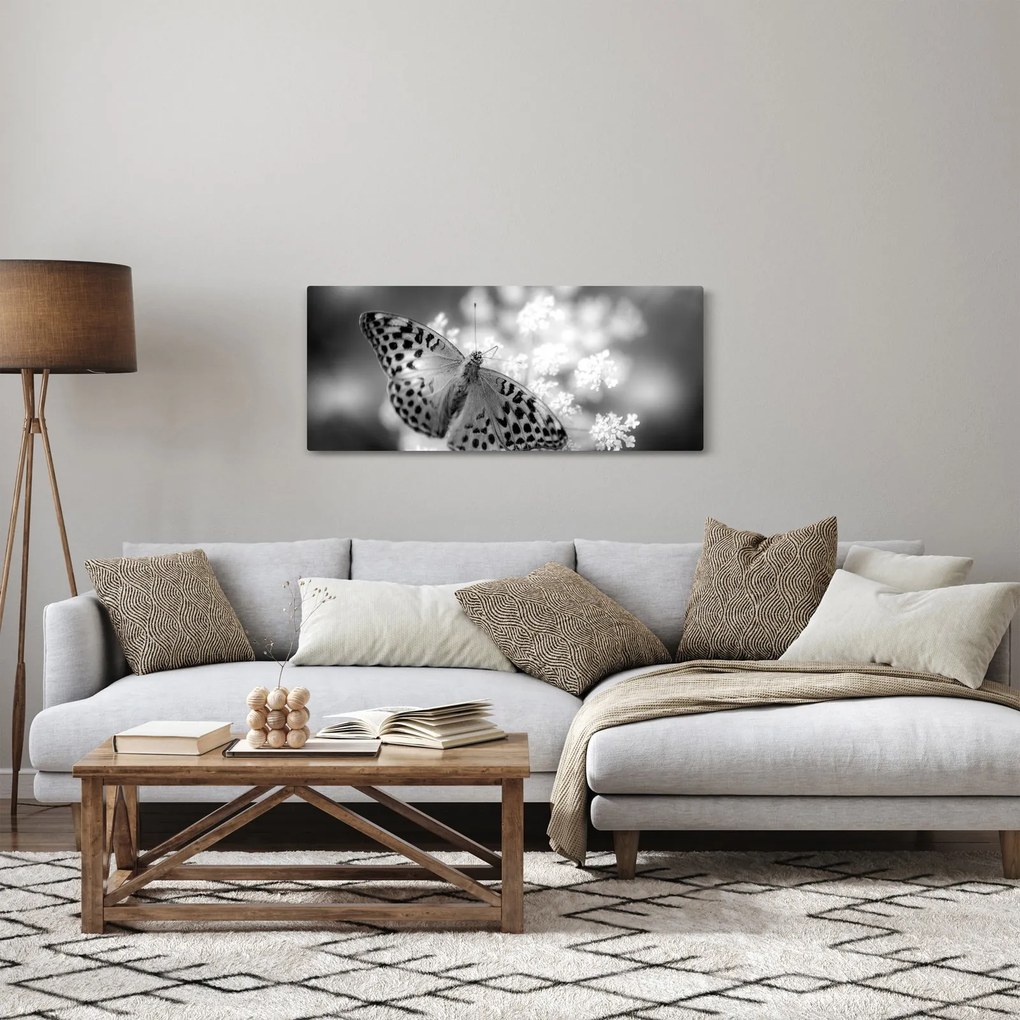 Tablou - Detailu cu fluture care polenizează floare (120x50 cm)