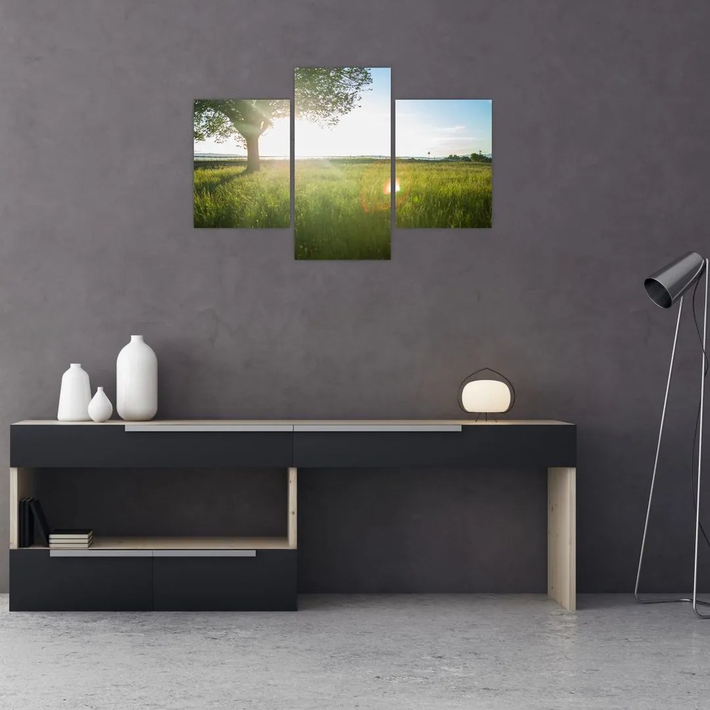Tablou cu lunca în vară (90x60 cm)