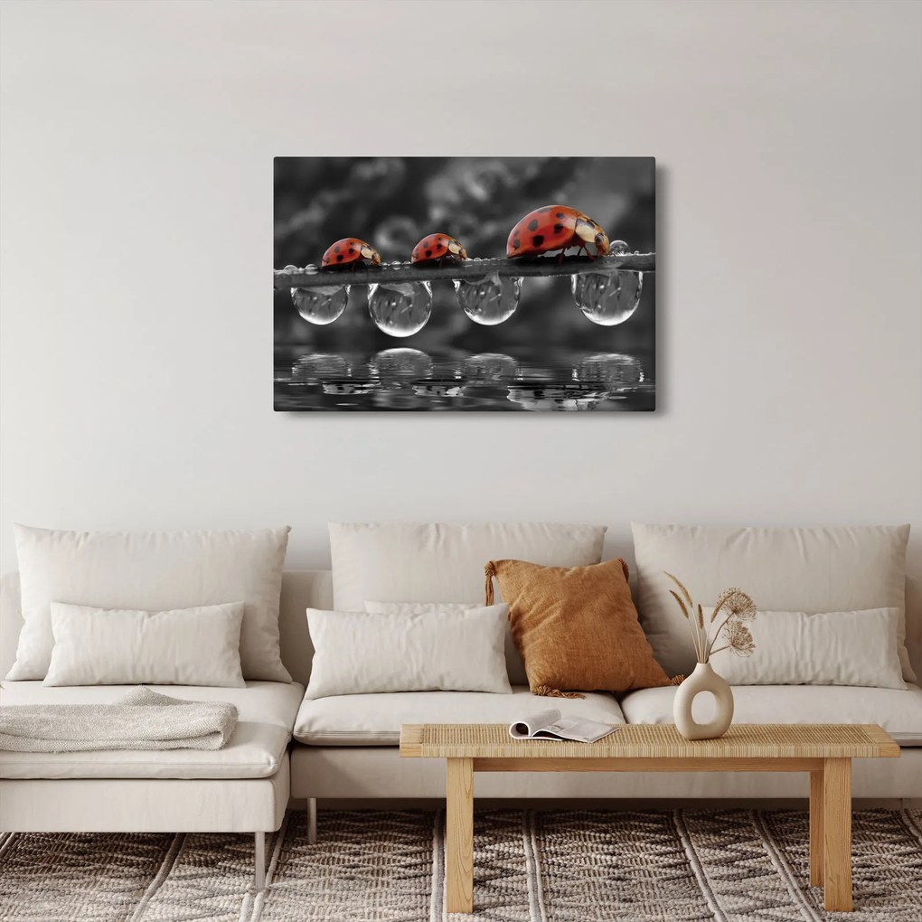 Tablou - Floarea-soarelui, alb și negru (90x60 cm)