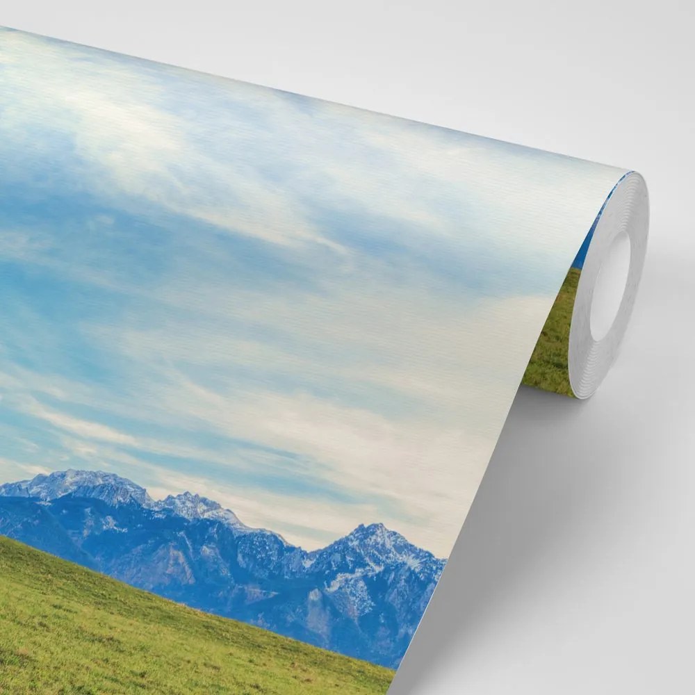 Fototapet panorama munților