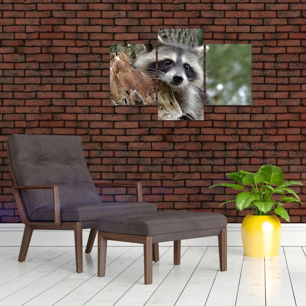 Tablou - Raton (90x60 cm)