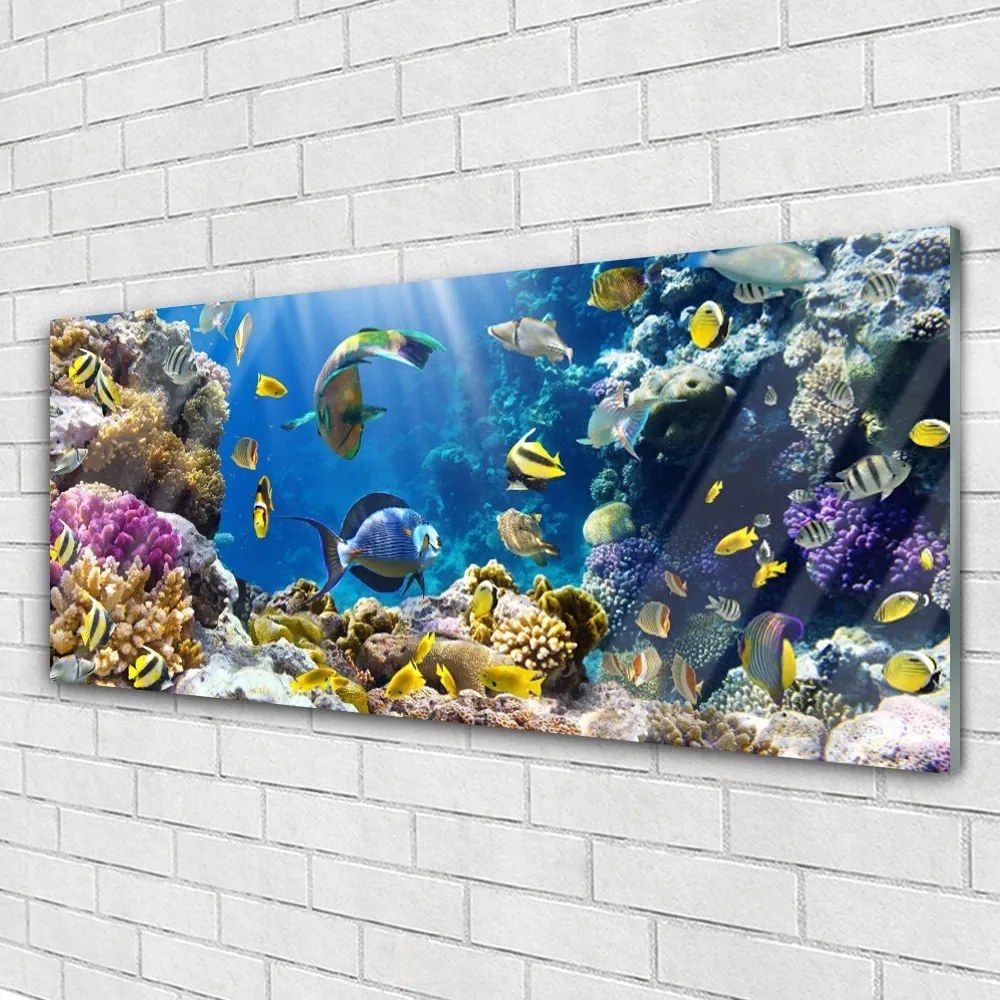 Tablouri acrilice Coral Reef Natura Multi