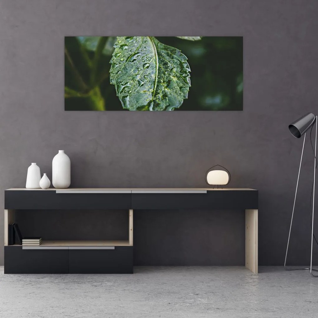 Tablou - picături pe frunză (120x50 cm)