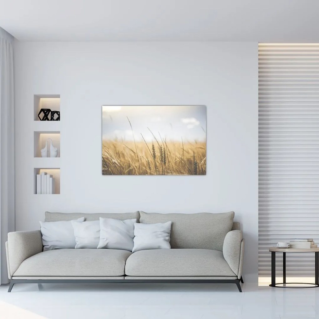 Tablou cu grâne (90x60 cm)