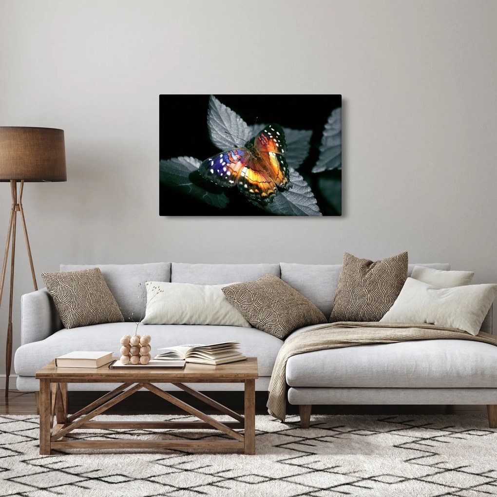 Tablou cu fluture (90x60 cm)